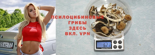 a pvp Краснослободск