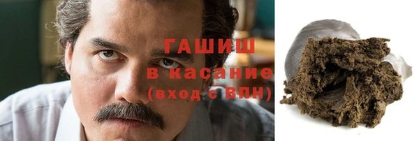 крисы Корсаков