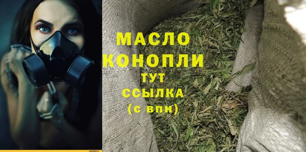 индика Костерёво