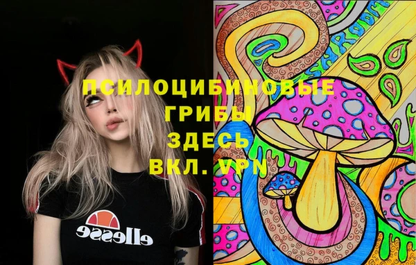 2c-b Краснотурьинск