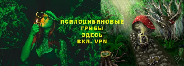 a pvp Краснослободск