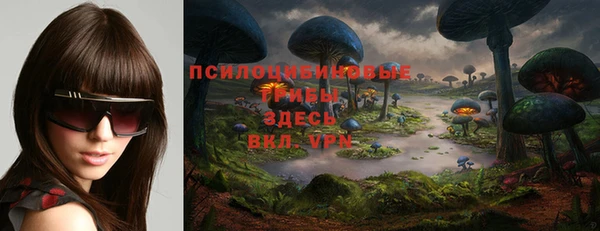2c-b Краснотурьинск